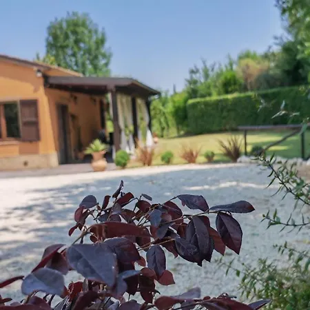 La Casa Del Bosco *
