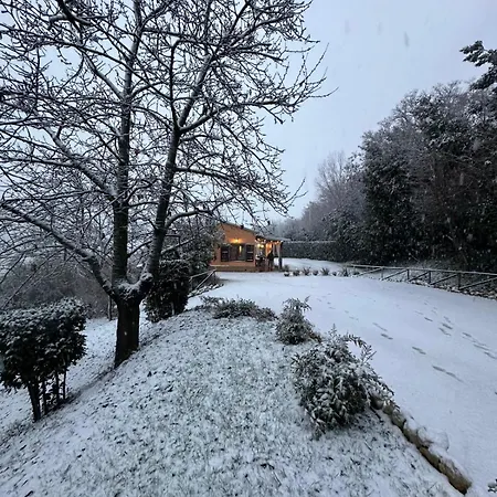La Casa Del Bosco